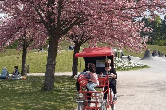 parc2.jpeg