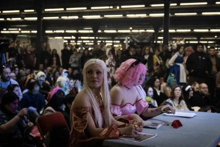 Coupe de France de Cosplay
